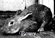 Benny