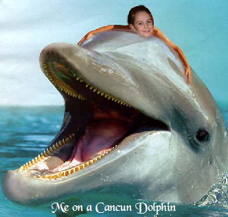Lynsey on a dolphin
