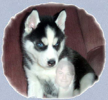 husky 9